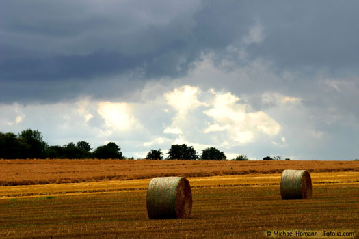 Getreidefeld mit Stohballen vor eingetrübtem Himmel