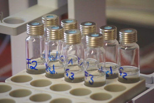 Labelled vials for headspace analysis in holder