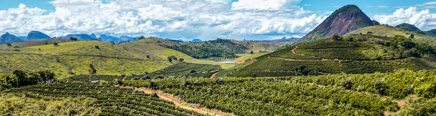 Plantage in Brasilien