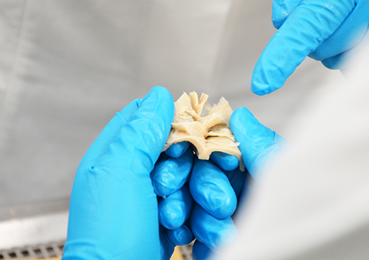 Extrudiertes pflanzliches Proteinprodukt mit Faserstruktur