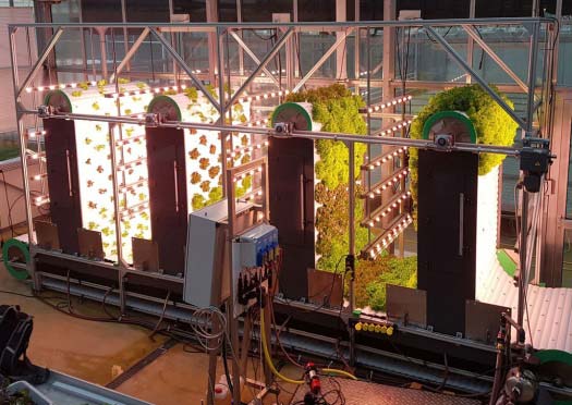Anlage für Vertical Farming, in der Pflanzen vertikal unter dynamischen Licht angebaut werden