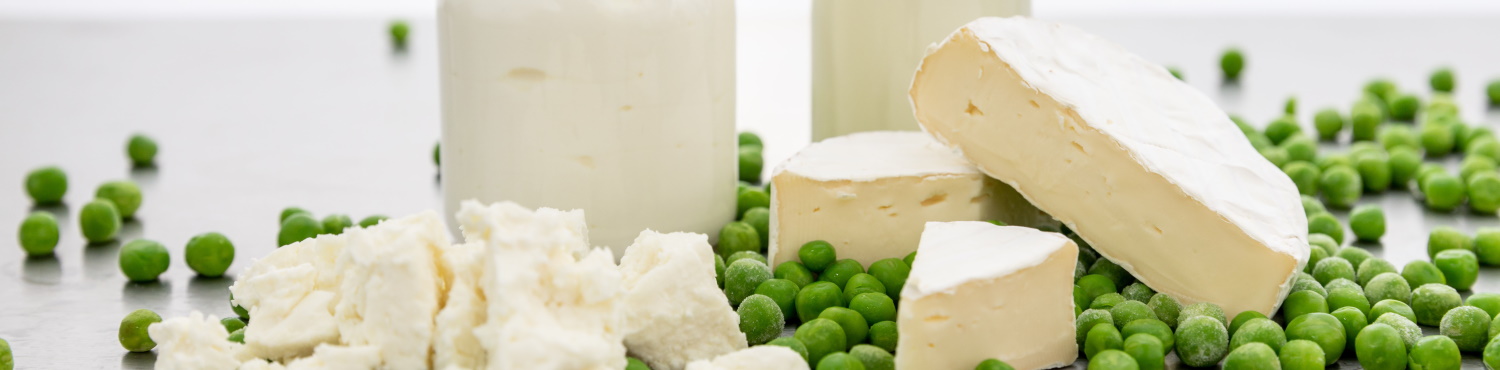 Verschiedene Käsealternativen, die aus pflanzlichen Rohstoffen hergestellt werden, umgeben von grünen Erbsen