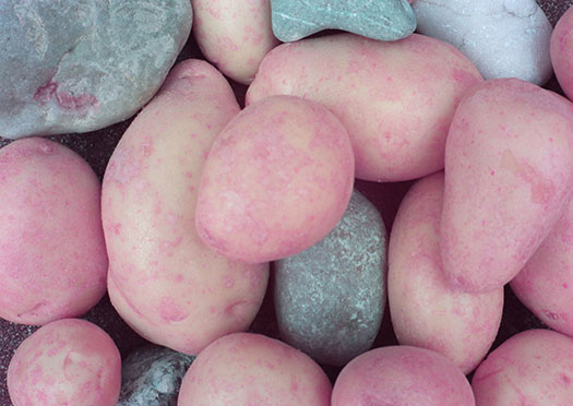 Große und kleine Kartoffeln und Steine auf einem Boden mit Infrarot