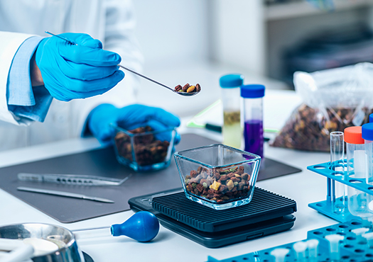Heimtiernahrung Heimtiernahrung wird auf Laborwaage untersucht