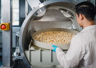 Begutachtung gepuffter Früchte bei der Mikrowellenvakuumexpansion