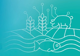 Schemazeichnung zur Biogenen Wertschöpfung in der Landwirtschaft, die den Pflanzenbau durch Getreideähren, die Fischzucht durch einen Fisch und die Tierzucht durch ein Schwein darstellt