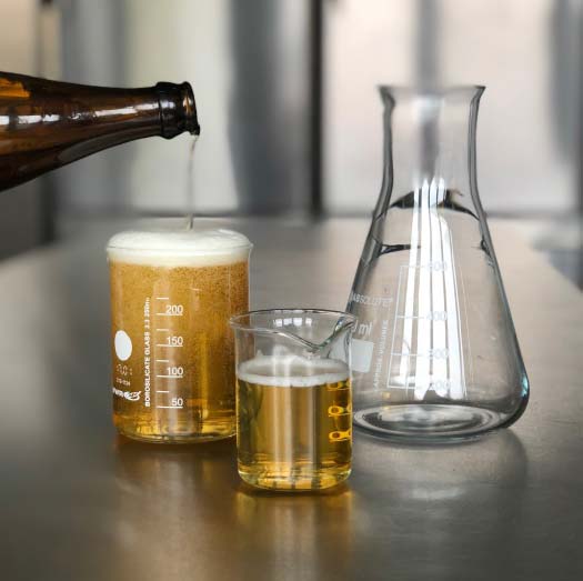 Alkoholfreies Bier wird zur Untersuchung in drei Laborgläser eingeschenkt