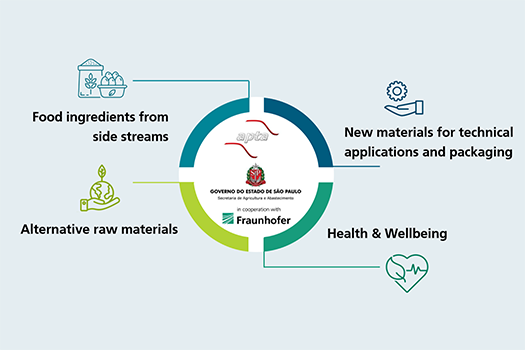 Graphic showing the main research areas of the FIP-NFS@ITAL