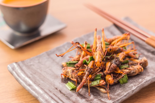 Fried  and garnished insects