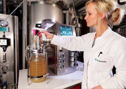 Sampling for process control in the fermentation of food and food ingredients.