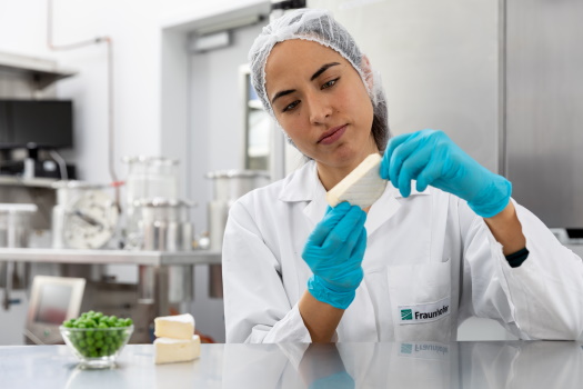 Production of cheese alternatives from pea protein Cheese alternatives made from pea protein by fermentation and maturation