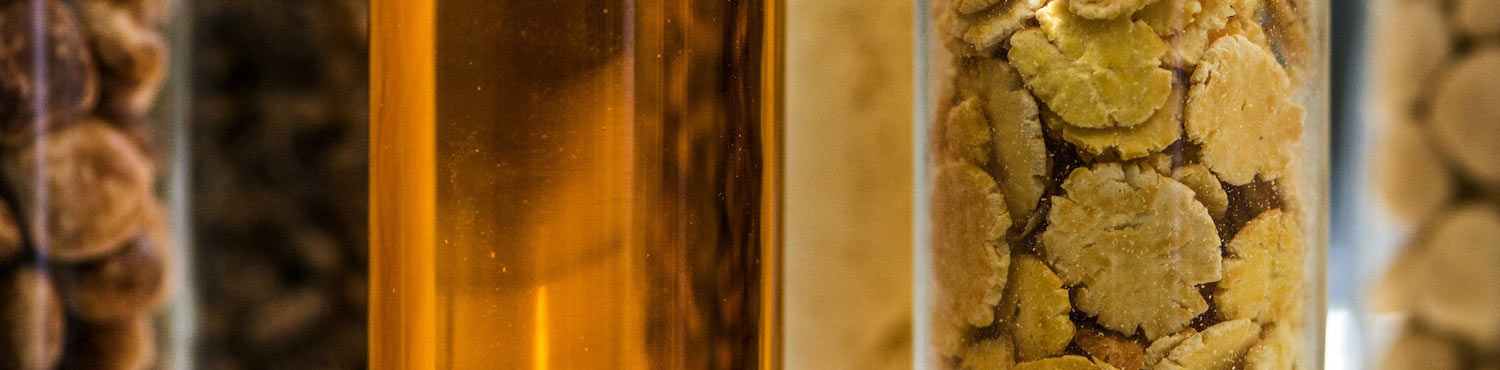 Development of foods and functional ingredients Different lupine extractions in test tubes