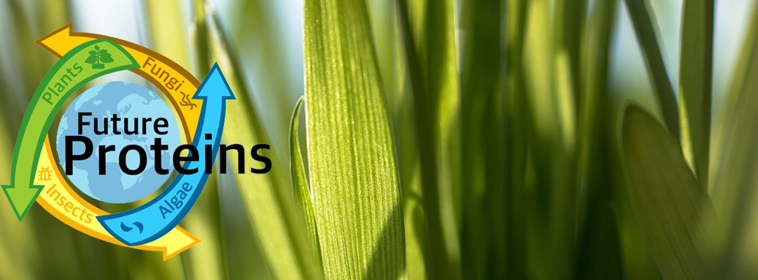Future Proteins logo with close up of grasses in background