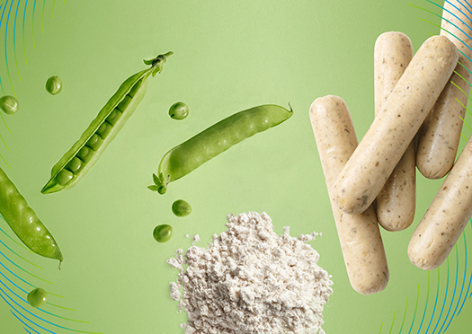 The background is a sustainable green, the image symbolizes the path from raw material to protein flour to the application as a sausage casing for vegan sausages using the example of the peas shown.