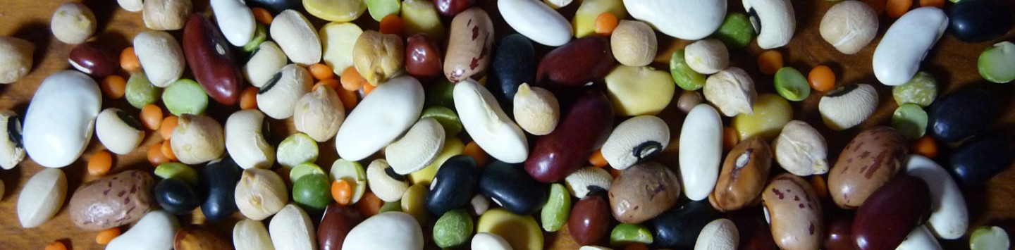 Proteinreiche-Pflanzensamen Pflanzensamen mit hohem Proteingehalt
