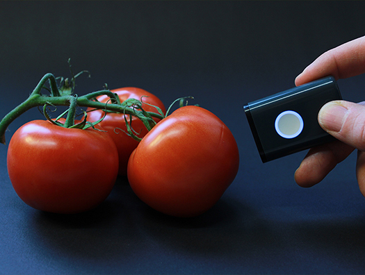 Food scanner for rapid evaluation of food quality Food quality can be quickly assessed with a food scanner.