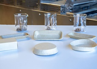 Packaging materials made from paludiculture with pieces of bog plants in beaker glasses on a table