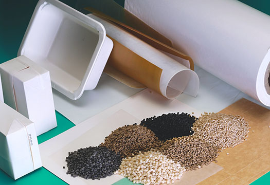 Paper packaging with biopolymere coatings
