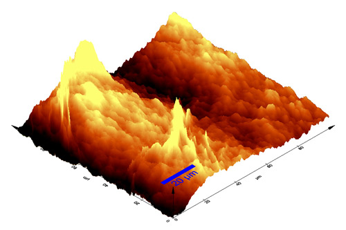 AFM measurement of a plastic film