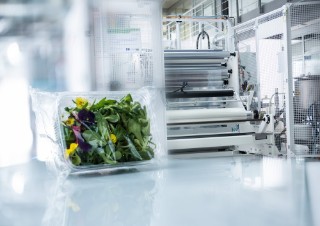 Packaged herbs and edible flowers in front of packaging machine
