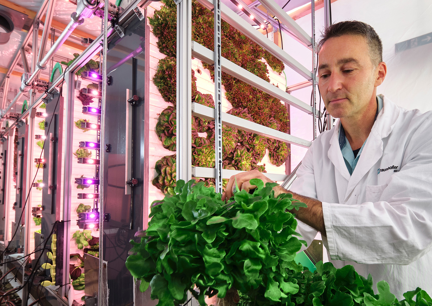 Vertical Farming-System