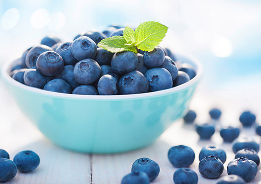 Data and model-based algorithms in product efficacy application in the food industry blueberries fruits 