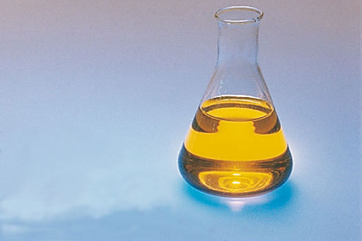 Rape oil Erlenmeyer flask in front of a blue background, filled with rape oil