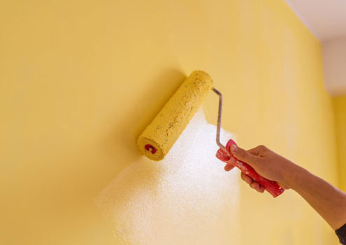Painting a wall with emulsion paint using a paint roller. A wall is painted with emulsion paint using a paint roller.